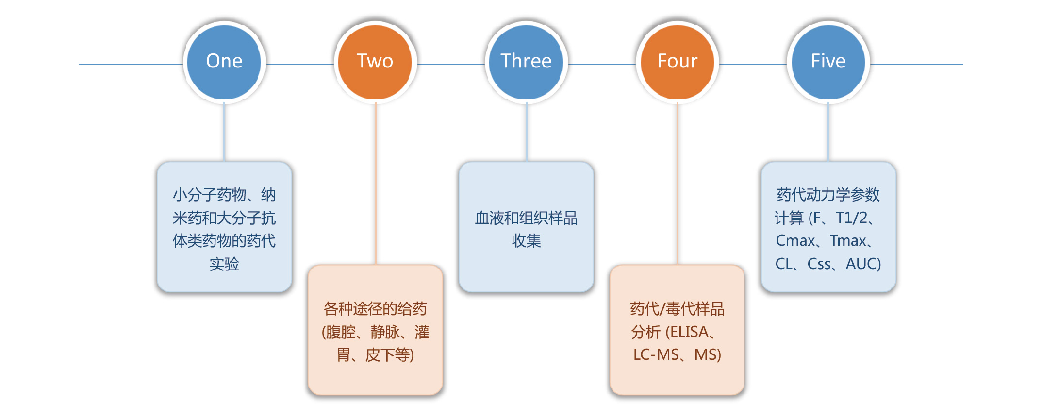 藥代動力學(xué)研究 服務(wù)項目